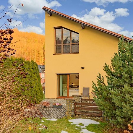 Apartman Hamrovka Velké Hamry 외부 사진